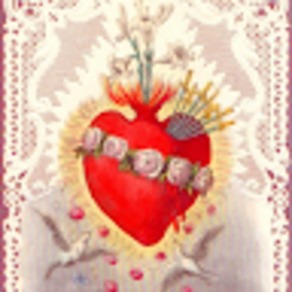 Meet your Posher, Malgorzata